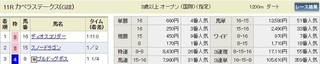 12月10日(日)カペラステークス.jpg