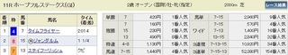 ホープフルステークス.jpg